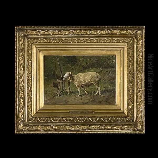 Sheep And A Chicken In A Field - view 1