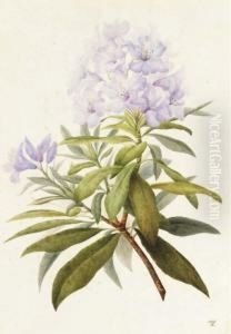 Une Branche De Fleurs by Willem van Leen