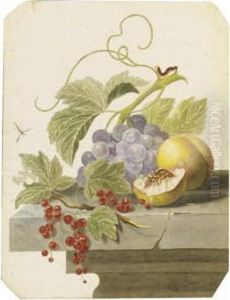 Still Life With Grapes, Peaches And Red Currants On A Ledge by Willem van Leen