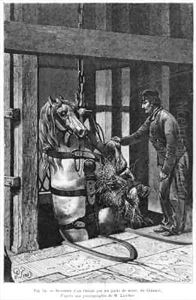 Horse comming down the coalpit at Le Creusot by Jules Ferat