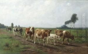 Homeward Bound by Dirk Peter Van Lokhorst