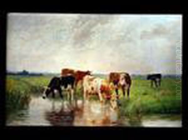 Rinderherde Am Wasser - view 1