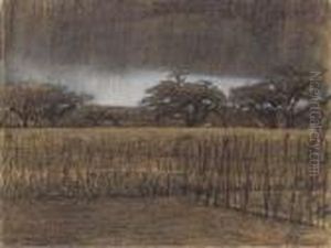 Akkers Met Oude Bomen: Clouds Over A Farm Field by Jacobus Van Looy