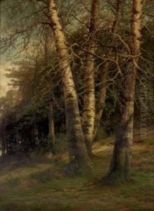 Environs De Modave by Gerard Jozef Adrian Van Luppen