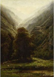 Effet De Brouillard