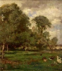 Enten Und Ganse In Landschaft Mit Laubwald