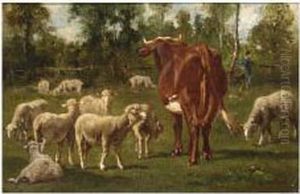 A Cow And Sheep In A Meadow A Cow And Sheep In A Meadow