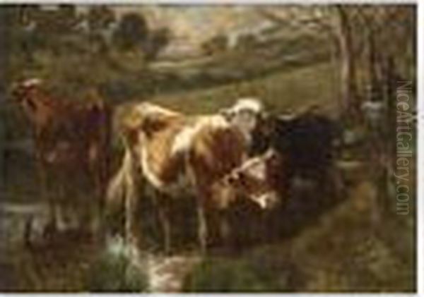 Wading Cows - view 1