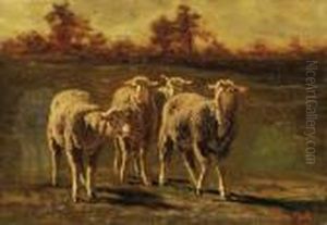 A Small Flock A Small Flock