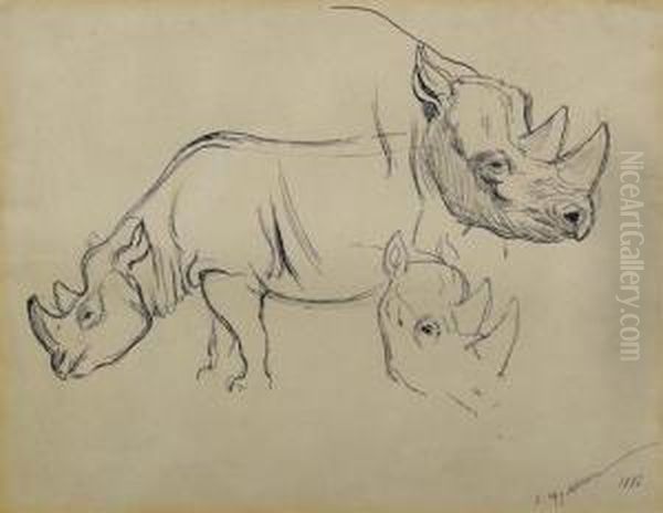 Study Of Rhinoceri. 1886 - view 1