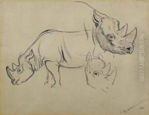 Study Of Rhinoceri. 1886 by Ewert Louis Van Muyden
