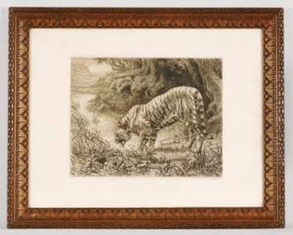 Tigre - view 1