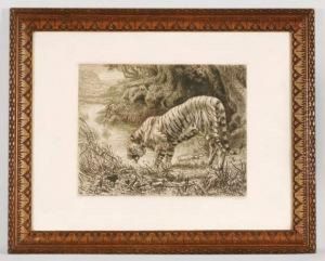Tigre by Ewert Louis Van Muyden