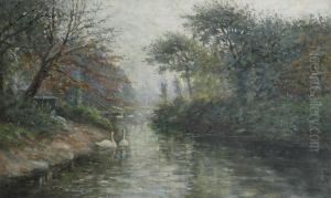 Swans At The Lake In The Antwerp City Park