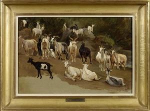 Study For Goats