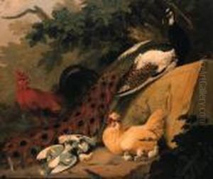 A Peacock, Cockerel, Chicken And Chicks With Doves In Alandscape by Adriaen van Oolen