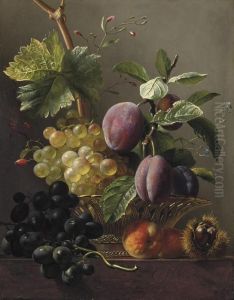 Grapes, Prunes, Peaches And A Chessnut On A Ledge