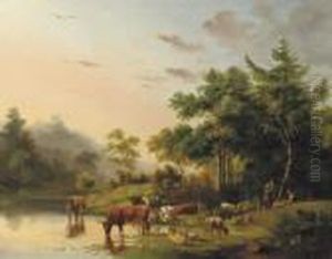 Cattle Drinking From The River Cattle Drinking From The River