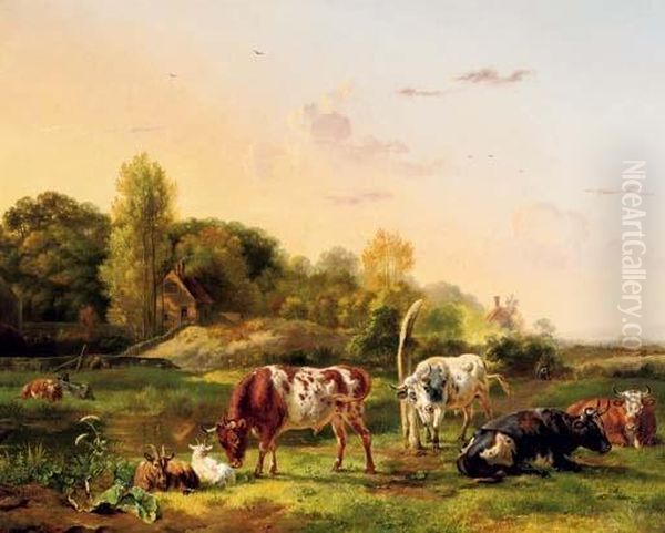 Cattle In A Meadow On A Sunny Day - view 1