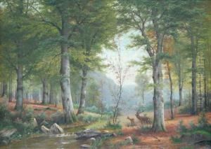 Ciervos En El Bosque