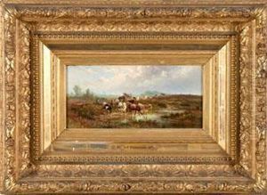 Weite Sommerlandschaft Mit Kuhen An Der Tranke