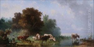 Cattle Watering Cattle Watering