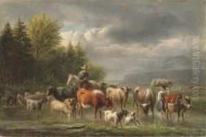 Cattle In A Stream by Jan Van Ravenswaay