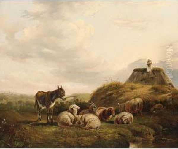 Sheep And A Donkey In A Dune Landscape - view 1