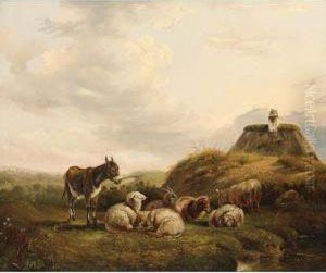 Sheep And A Donkey In A Dune Landscape by Jan Van Ravenswaay