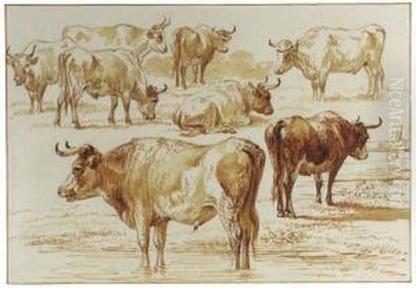 A Study Of Bulls - view 1