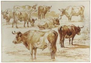 A Study Of Bulls by Jan Van Ravenswaay