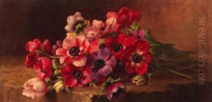 Red And Purple Anemones; Mimosa's Red And Purple Anemones; Mimosa's