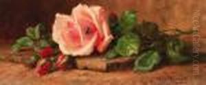 Freshly Cut Roses On A Mossy Tile by Edward Van Rijswijck