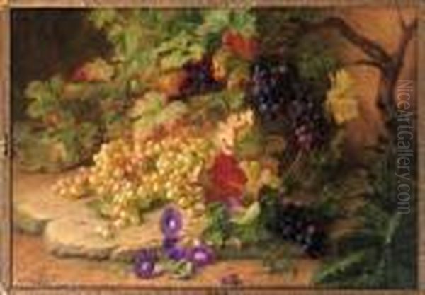 Autumn Still Life With Grapes And Bind Weed - view 1