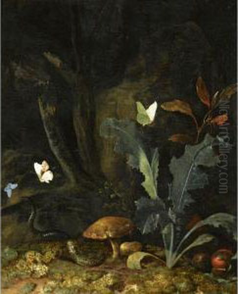 Nocturnal Forest Landscape With A
 Thistle, Chestnuts And Mushrooms, A Viper, Three Moths And A Dragon-fly - view 1