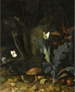 Nocturnal Forest Landscape With A
 Thistle, Chestnuts And Mushrooms, A Viper, Three Moths And A Dragon-fly by Otto Marseus Snuff. Van Schrieck