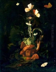 Nature Morte, Insectes Et Papillons by Otto Marseus Snuff. Van Schrieck