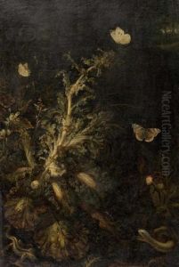 Waldstilleben Mit Insekten, Schmetterlingen Und Eidechsen. by Otto Marseus Snuff. Van Schrieck