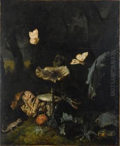 A Forest Floor Still Life With
Various Fungi, Thistles, An Aspic Viper, A Sand Lizard, A Snail, A Tree
Frog And Two Moths by Otto Marseus Snuff. Van Schrieck