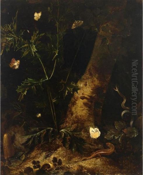 A Forest Floor Still Life With A
 Salamander, Snake And Various Butterflies Around A Thistle - view 1