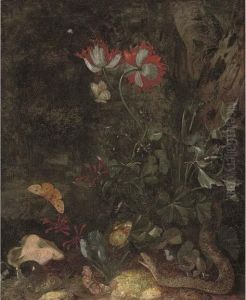A Forest Floor Still Life With A Snake