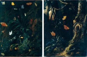 Nature Morte Con Farfalle, Ramarro, Ranocchia, Lumaca, In Un Bosco by Otto Marseus Snuff. Van Schrieck