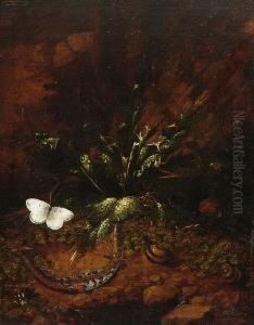 Waldstucke Mit Reptilien Und Schmetterlingen.
