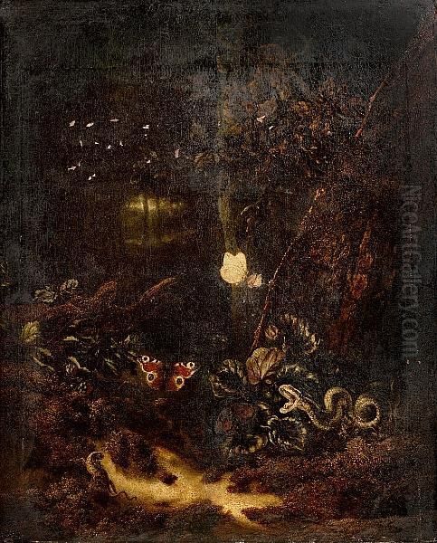 A Forest Floor Still Life With A Snake, Two Butterflies And A Lizard by Otto Marseus Snuff. Van Schrieck