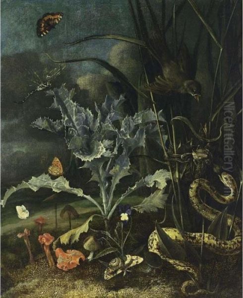 A Forest Floor Still Life With A
 Milk Thistle, Mushrooms, A Wood Snail, A Blue, A Queen Of Spain 
Fritillary, An Emperor Moth, A Tortoise Shell, A Dragon-fly, Together 
With An Aspis Adder Taking A Fledgeling From A Nest Of A Sedge-warbler - view 1