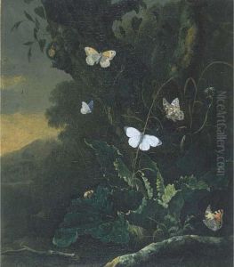 A Forest Floor Still Life With A Small Tortoiseshell