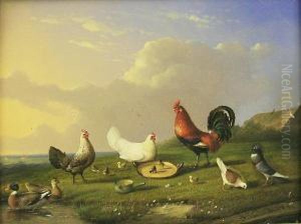 Chickens, Ducks And Pidgeons In A Landscape - view 1