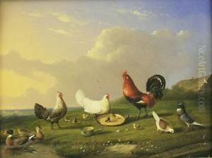 Chickens, Ducks And Pidgeons In A Landscape by Joseph Van Severdonck