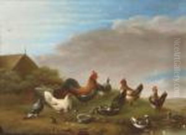 Poultry - view 1