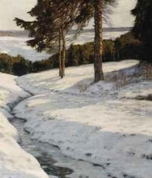 A Winter Landscape With Pine Trees - view 1